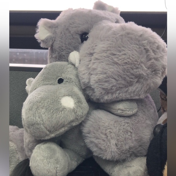 Live with Daisies4Ann! - Picture 3 of 3